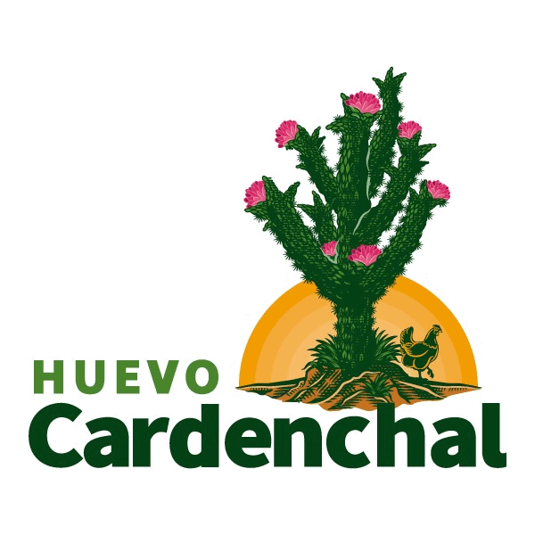 LOGONOMBREYDISENO